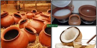 mud-pot-seasoning
