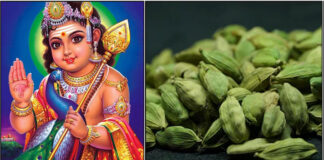 murugan elakkai