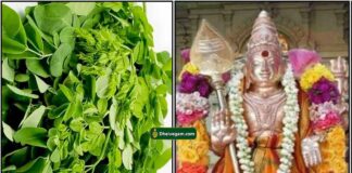 murugan-murungai-ilai