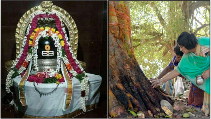 shivan tree