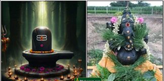 siva