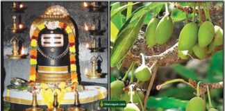 நோய் தீர சிவன் கோவில் தானம் sivan-ilupai