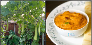 chutney