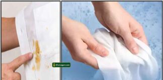 cloth-strain-removal