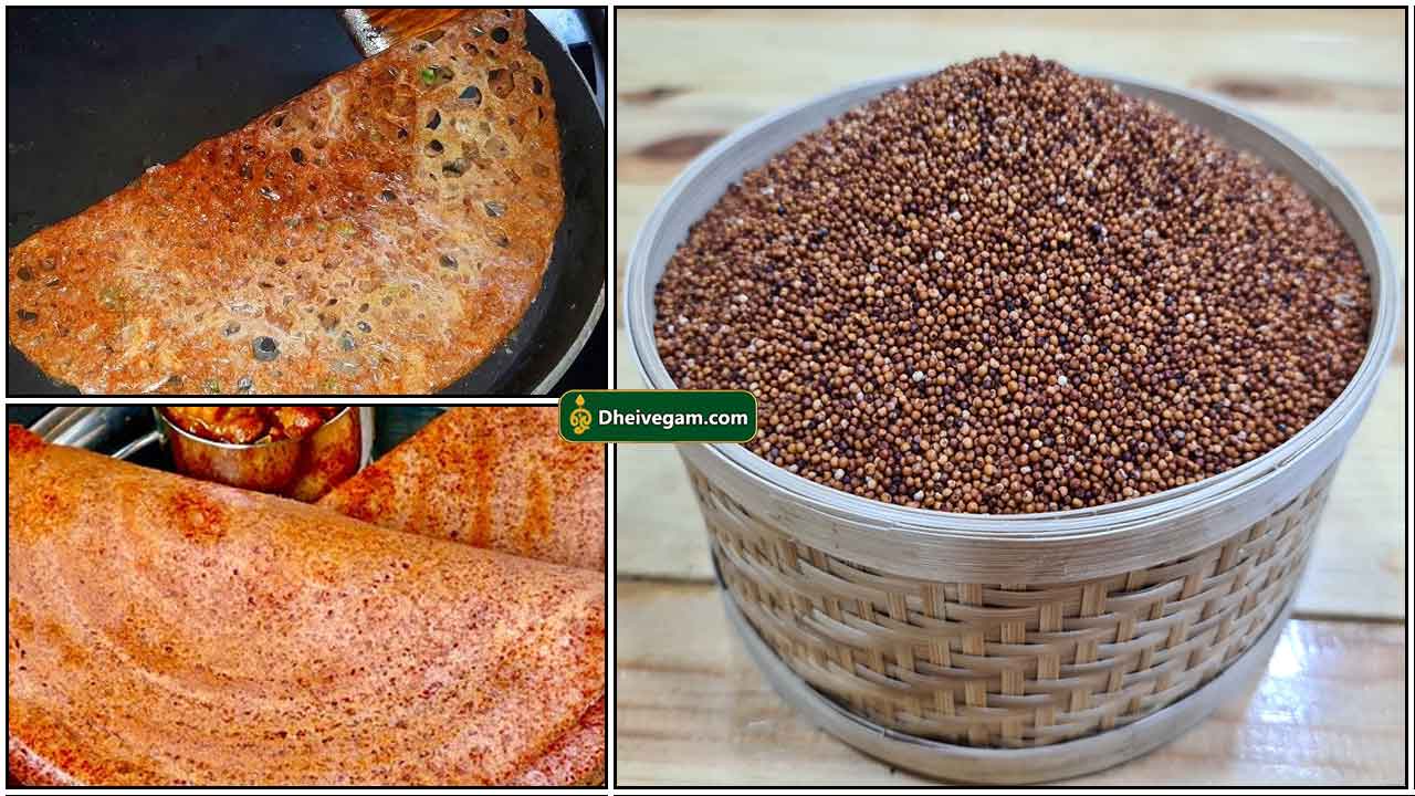 கேழ்வரகு தோசை