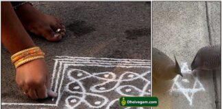kolam