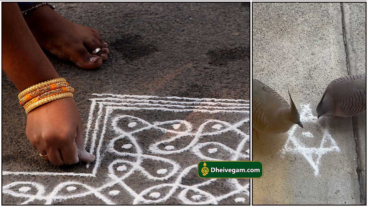 kolam