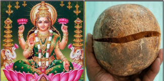 mahalakshmi vilava