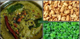 mint-peanut-chutney