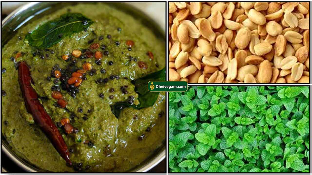 புதினா வேர்க்கடலை துவையல்