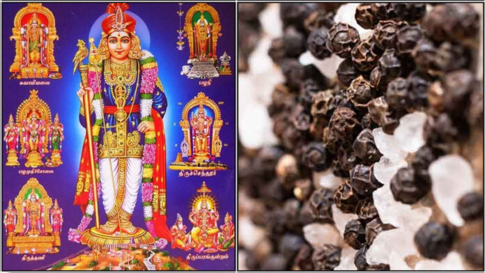 murugan salt pepper
