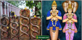 சனிக்கிழமை ஆயில்ய நட்சத்திரம் வழிபாடு nagar
