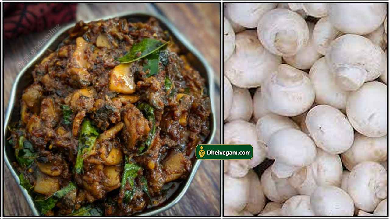 pepper-mushroom-fry