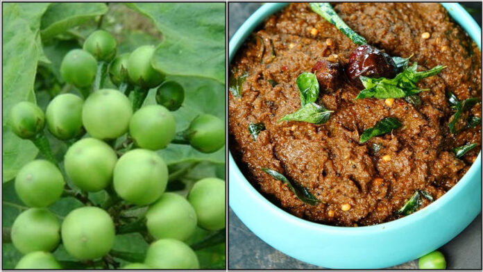 sundakkai thuvaiyal