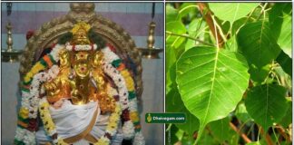vinayagar-arasa-ilai