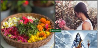 flowers-sivan