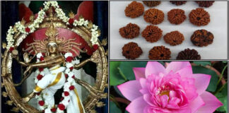 ஆனி திருமஞ்சன நாளில் வாங்க வேண்டிய பொருட்கள். natarajar