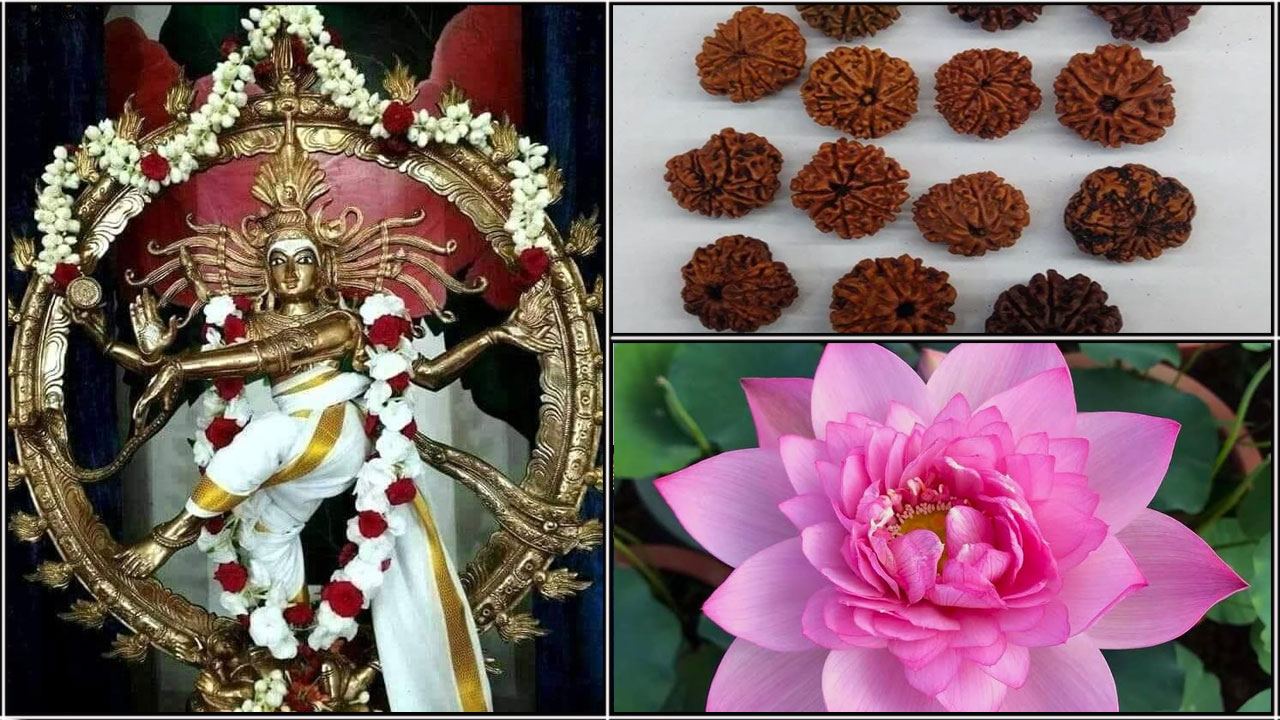 ஆனி-திருமஞ்சன-நாளில்-வாங்க-வேண்டிய-பொருட்கள்.