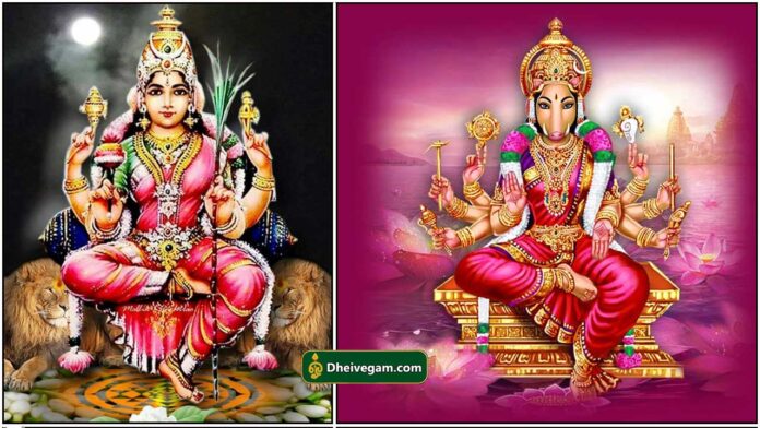 raja-rajeshwari