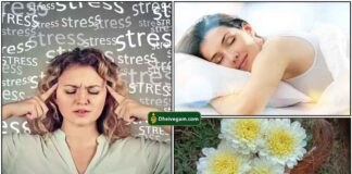 stress-sleep-flower