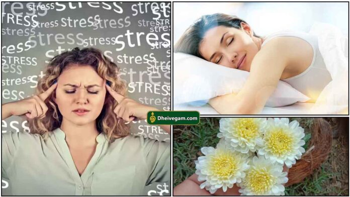 stress-sleep-flower