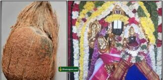 thengai-lakshmi-perumal