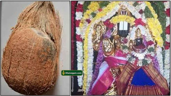 thengai-lakshmi-perumal