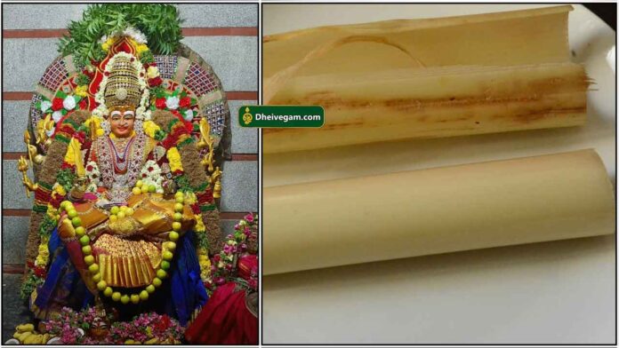 amman-vazhai-thandu