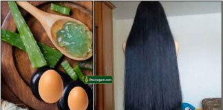 முடி அடர்த்தியாக ஹேர்பேக் egg-aleovera-long-hair