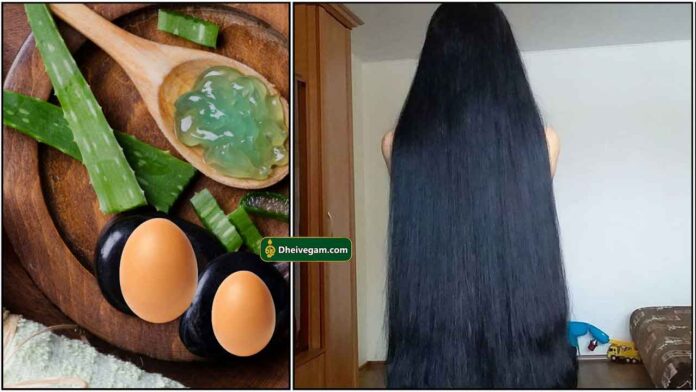 egg-aleovera-long-hair
