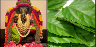 vinayagar leaf