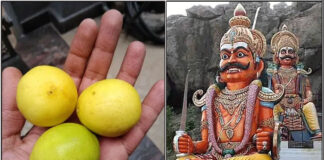 kuladeivam lemon