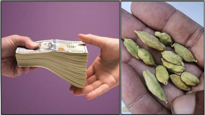 money elakkai