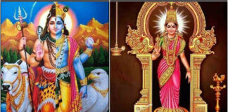 இன்பங்களை தரும் ஆடித்தபசு வழிபாடு shivan