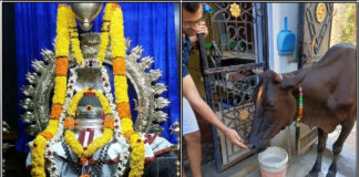 shivan