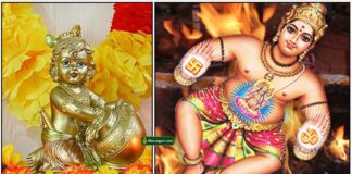 krishnar-vastu