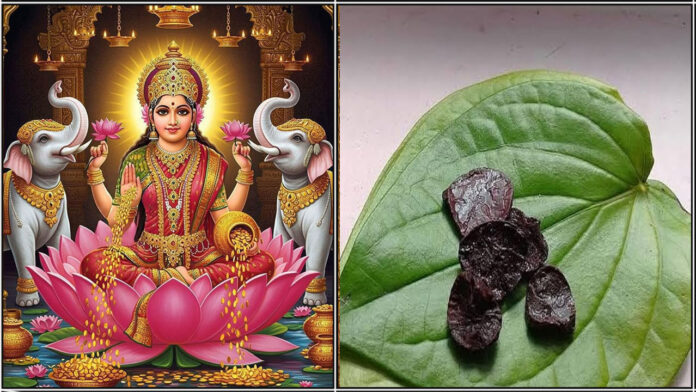 mahalakshmi betel leaf pakku