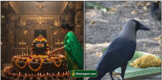 மகாளய பட்சத்தில் கடைசி 3 நாள் பரிகாரம் sivan