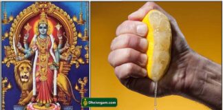 vishnu-durgai