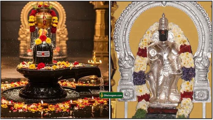 lingam-sani