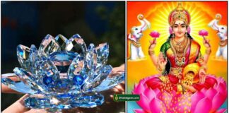 lotus-lakshmi